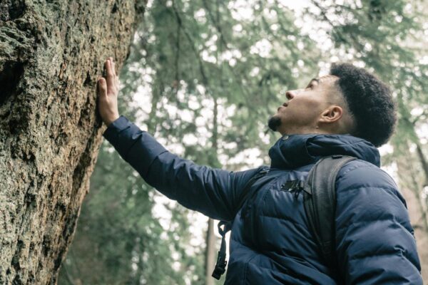 Man in Blue Bubble Jacket Standing Beside Tree